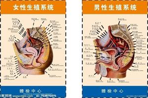 呼和浩特男性生殖器包皮垢(呼和浩特市男科医院排行)